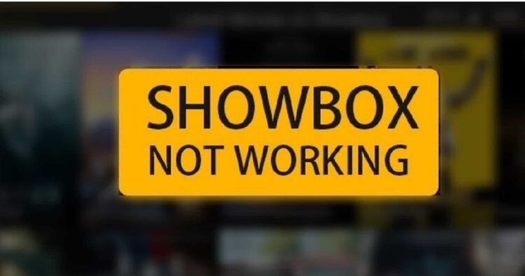Showbox Not Working