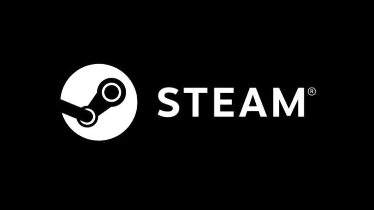 Steam Game won’t Launch