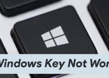 Windows Key Not Working