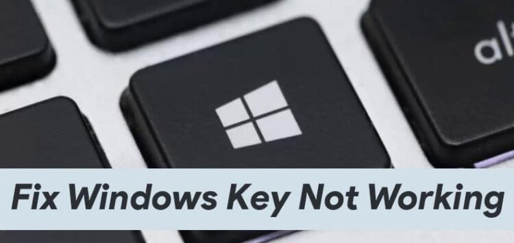 Windows Key Not Working