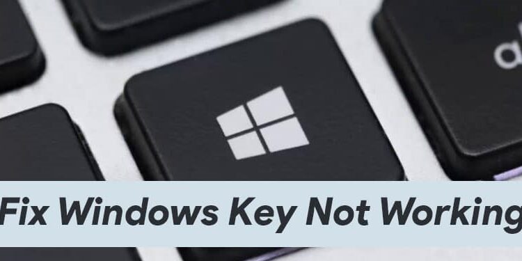 How to Solved Windows Key Not Working - TechFandu