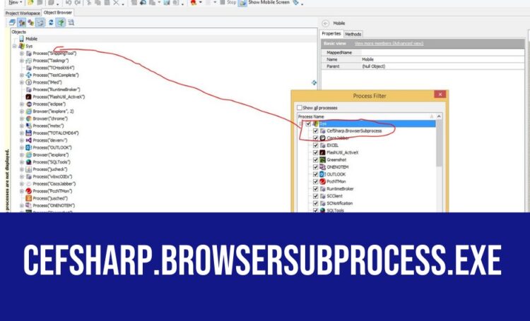 CefSharp.BrowserSubprocess.exe