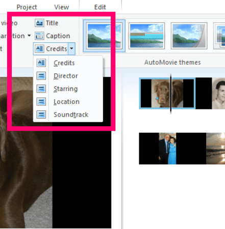 Windows Movie Maker