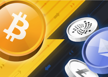 Bitcoin and Altcoin: The Key Differences and Functions