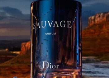 Dior Sauvage Dossier.co