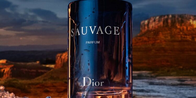 Dior Sauvage Dossier.co